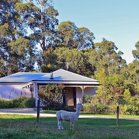 Araluen Park Cottages Лейкс-Ентранс Екстер'єр фото