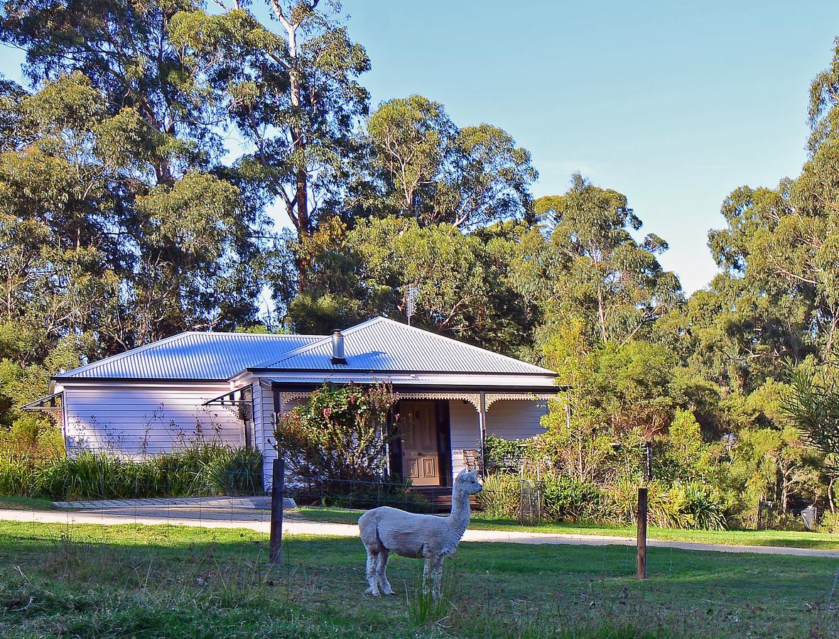Araluen Park Cottages Лейкс-Ентранс Екстер'єр фото