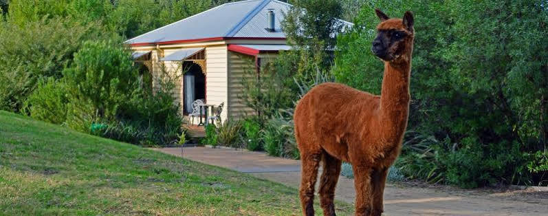 Araluen Park Cottages Лейкс-Ентранс Екстер'єр фото